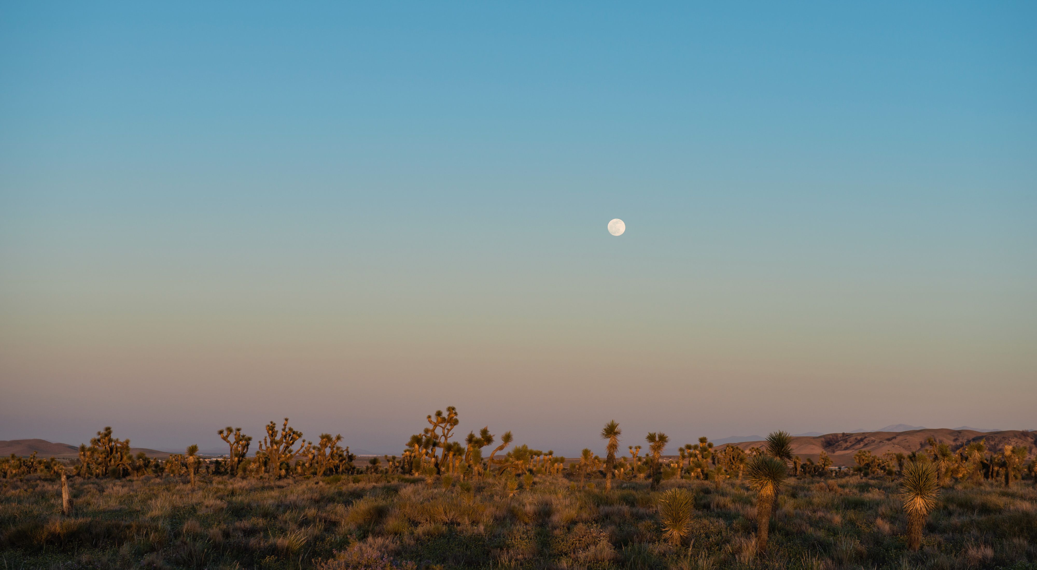 A full moon rising over one of the mitigation properties in Lancaster, California. 