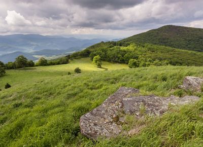 A landscape picture of a rock resting in the grass with rolling hills and trees in the background