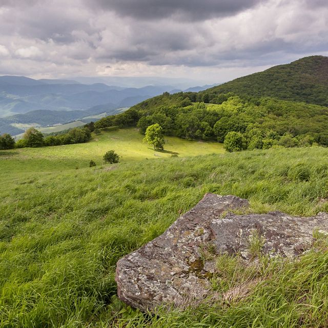 Secluded amid North Fork Mountain lies TNC’s Pike Knob.