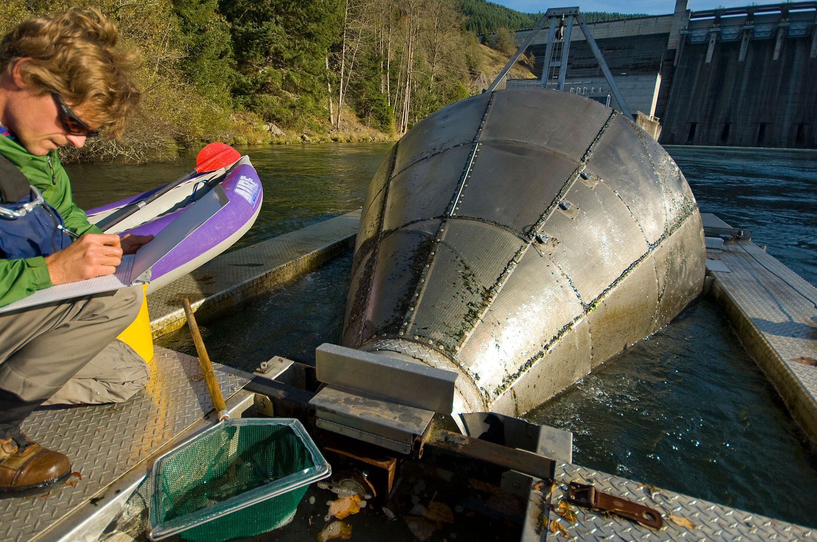 5 Conservation Projects That Are Focused on Long-Term Success