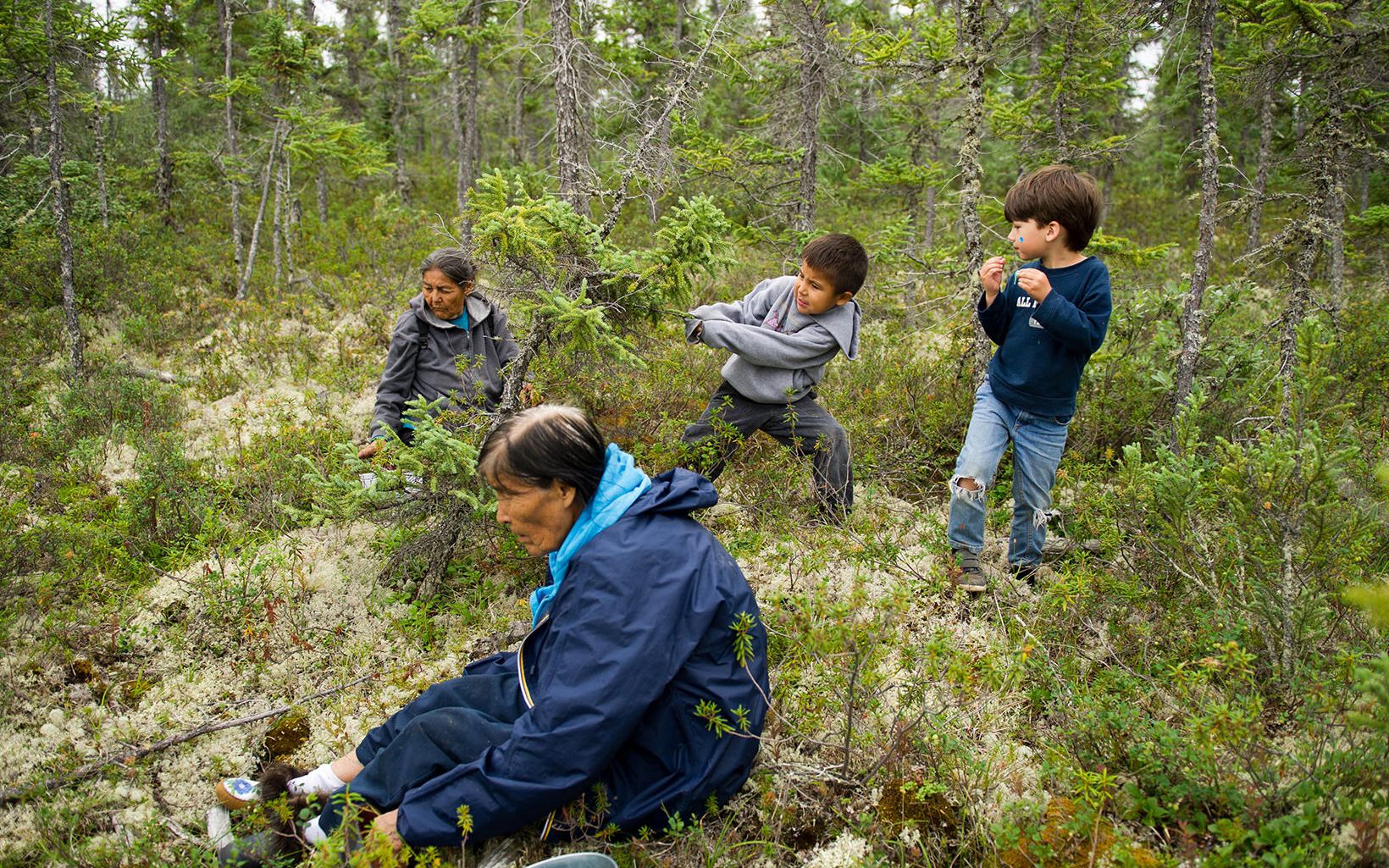 Women from the Dene Band collect blueberries in their village of Lutsel K'e.