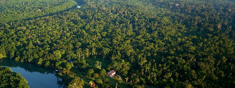 Aerial view of a tropical rainforest