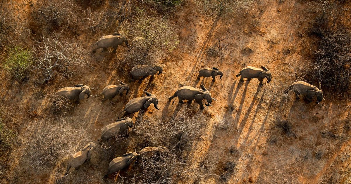 Kenya Launches "Thamani Asili" Initiative to Bolster Community-Led Conservation and Climate Resilience