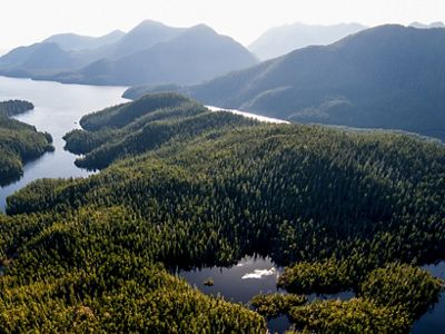 Clayoquot Sound, on the west coast of Vancouver Island, British Columbia.