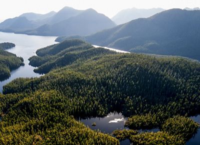 aerial view of Clayoquot Sound.
