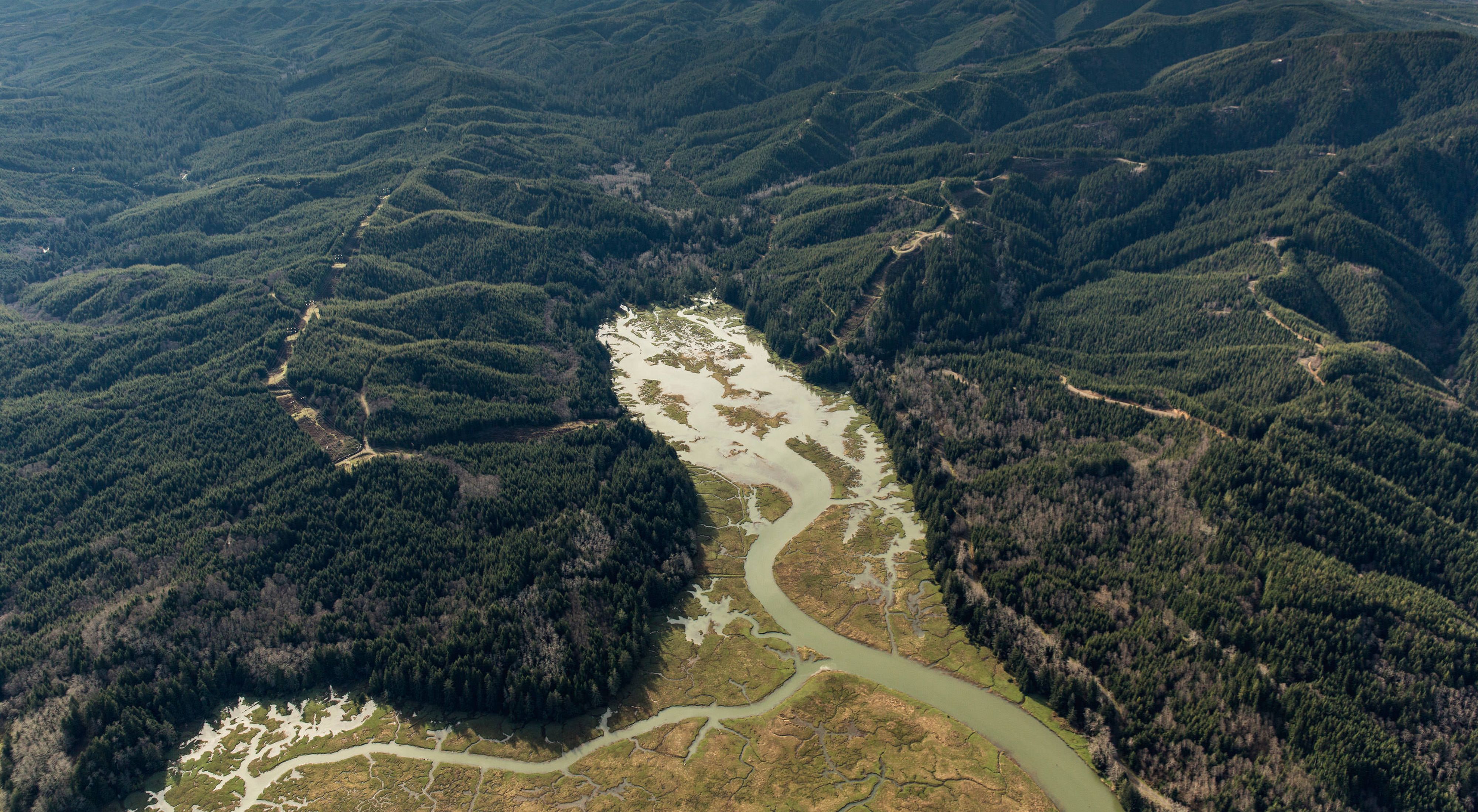 Aerial view of the Ellsworth Creek Preserve in Washington.