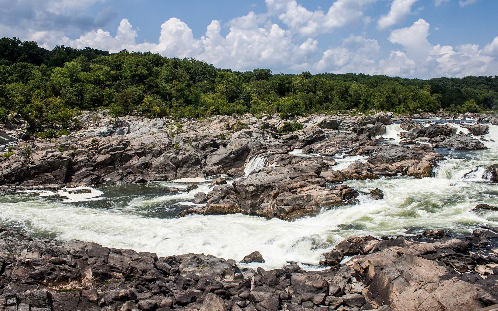 White water rushes over large rocks to create a series of short falls on the Potomac River. The river bank is thickly lined with trees.