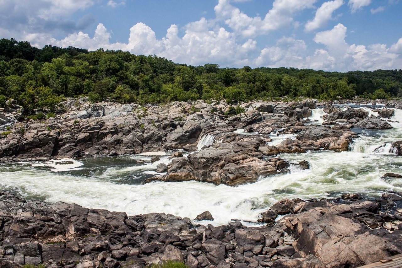 Volunteer in Maryland/DC | The Nature Conservancy