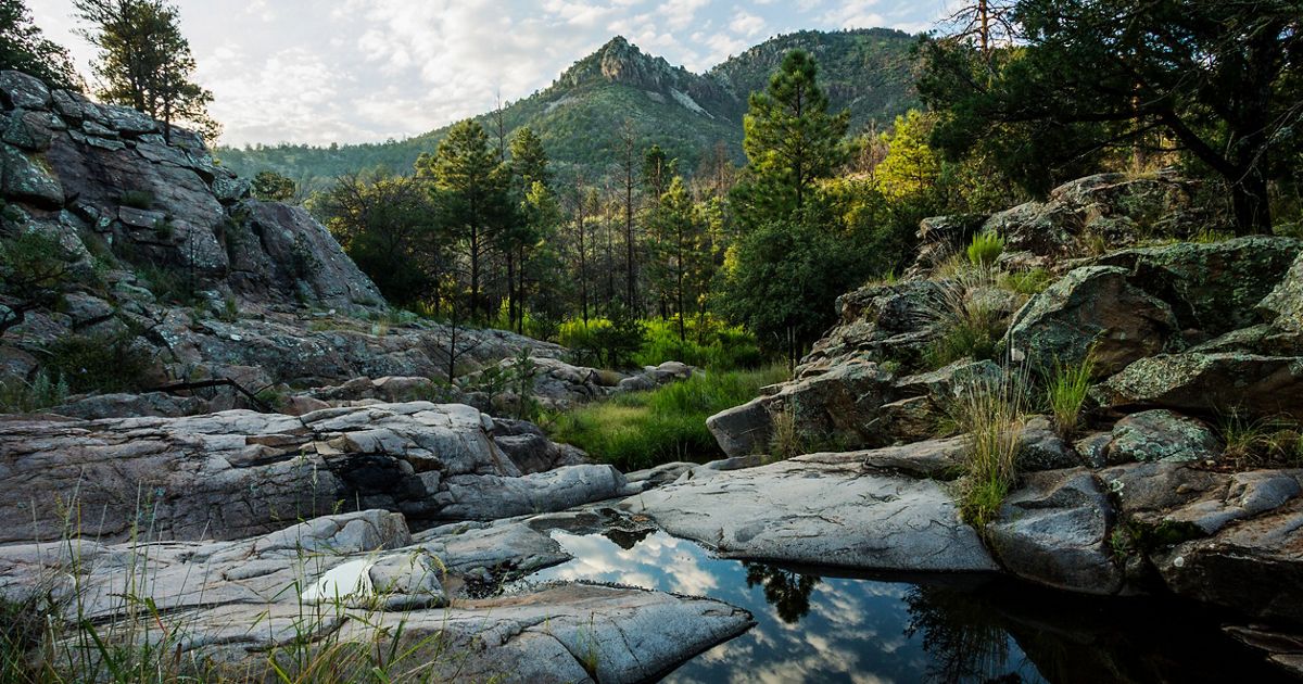 Madera Canyon