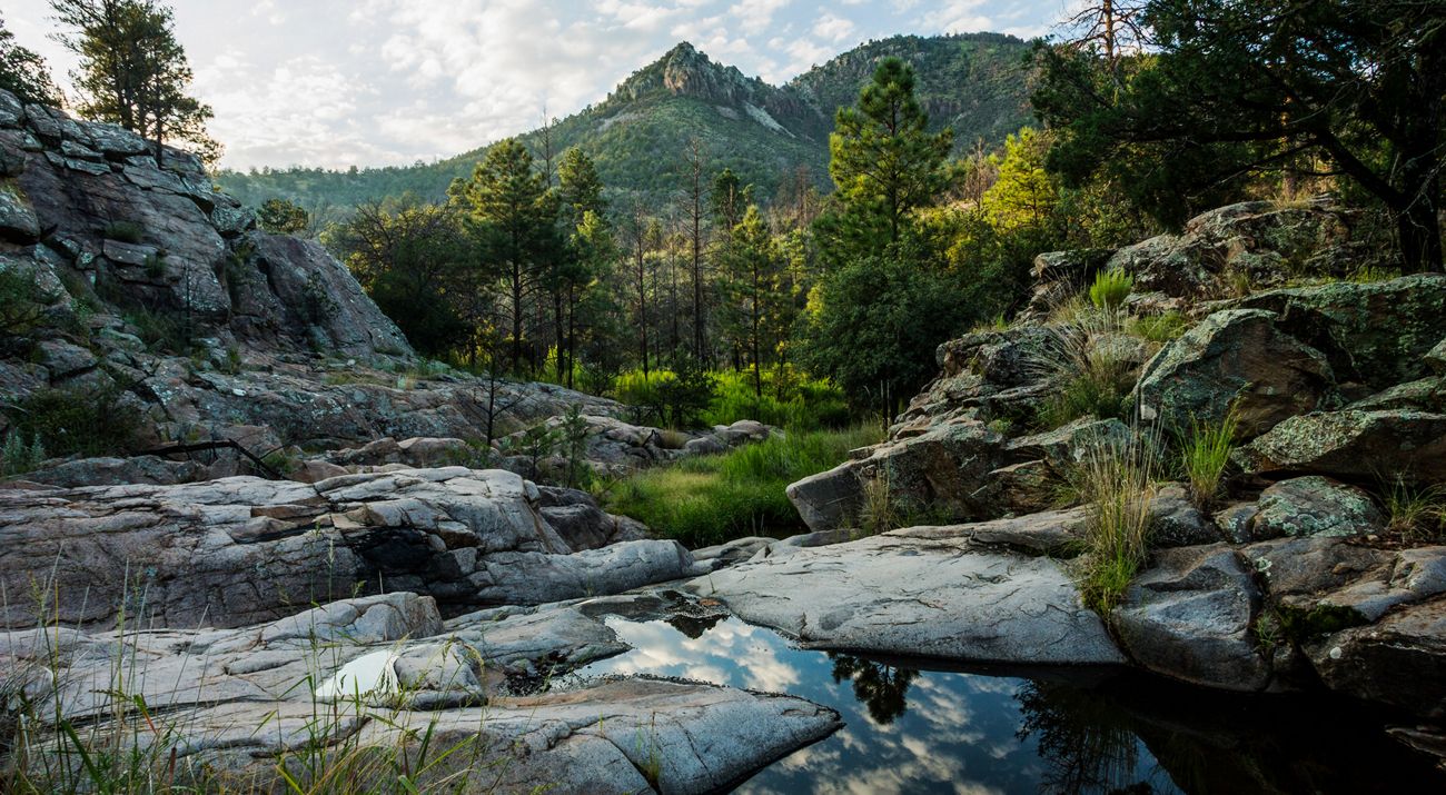 Rocky outcrops with forested mountains in the distance.