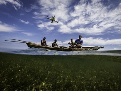 A team pilots a quad copter drone over a Red Mangrove forest.