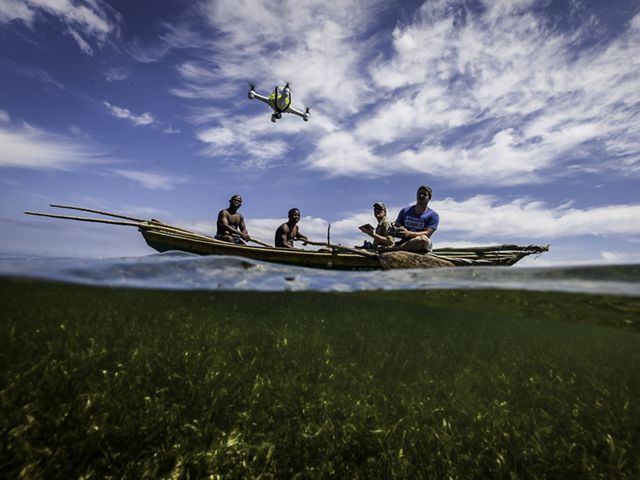 A team pilots a quad copter drone over a Red Mangrove forest.
