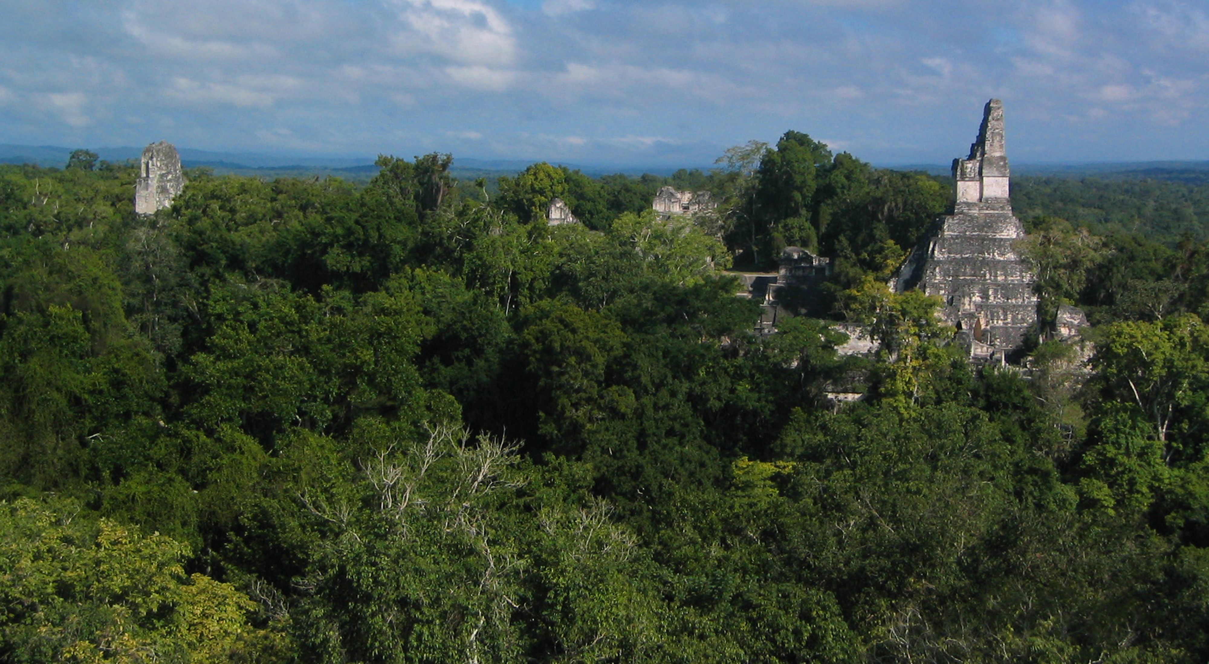 Canopy view of ancient Mayan civilization ruins at Tika