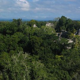 An aerial view of the ancient ruins of Tikal National Park in Guatemala.