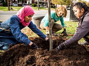 The Brightside Organization, The Nature Conservancy, UPS and Brown-Forman partnered to plant 150 trees at Shawnee Park in Louisville, Kentucky.
