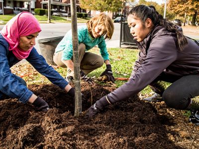 The Brightside Organization, The Nature Conservancy, UPS and Brown-Forman partnered to plant 150 trees at Shawnee Park in Louisville, Kentucky. 