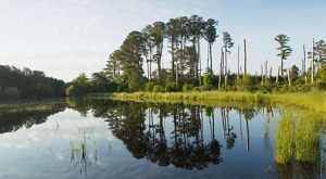 Land Protection At VVCR | The Nature Conservancy In Virginia