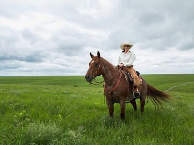 woman on horse in an open field