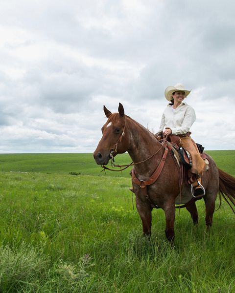 Woman smiles from atop a brown horse in green field.