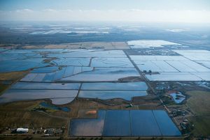 Flooded farm fields.