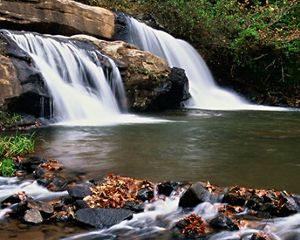 /content/dam/tnc/nature/en/photos/tnc_78880508_4000x220