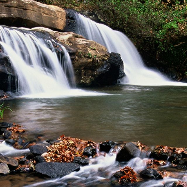 Still image taken from a video of water rushing over a small waterfall and emptying into a pool in the midst of a forested area.