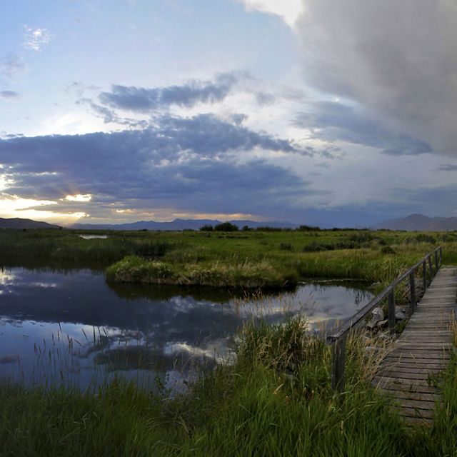 A wooden footbridge stretched across a pond reflecting clouds.