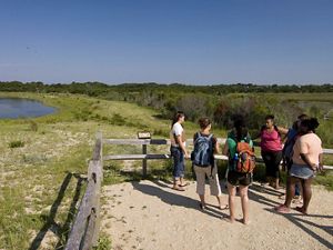 The South Cape May Meadows Preserve is included among the case studies at NRCSolutions.org that demonstrate the successful use of nature-based solutions that help reduce flood risk while providing other benefits for communities.