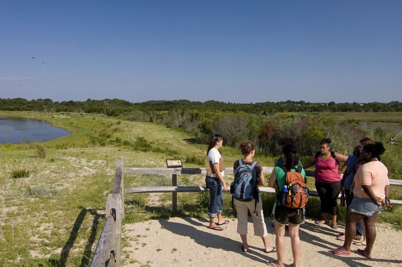 The South Cape May Meadows Preserve is included among the case studies at NRCSolutions.org that demonstrate the successful use of nature-based solutions that help reduce flood risk while providing other benefits for communities.