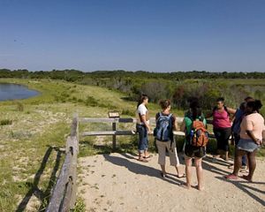 The South Cape May Meadows Preserve is included among the case studies at NRCSolutions.org that demonstrate the successful use of nature-based solutions that help reduce flood risk while providing other benefits for communities.