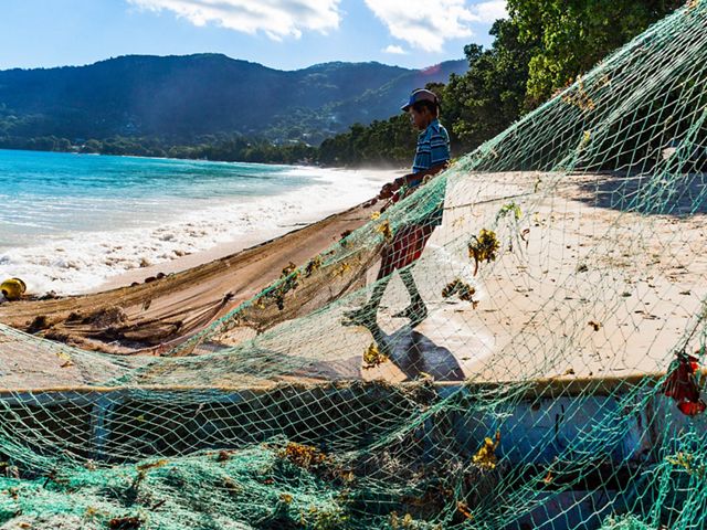 Mackrel fishermen in Seychelles fish along the shore with small boats and siene nets, trapping fish against the beach and hauling the catch up onto the sand.