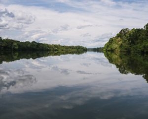 Landscape off of Rio Xingu, Brazil.