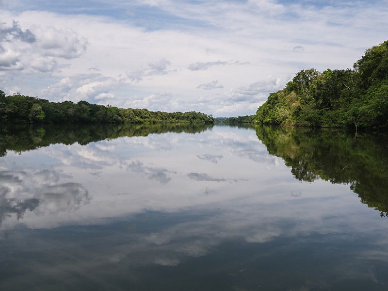 Paisaje de rio con exuberante bosque ribereño y cielo reflejado en sus aguas.
