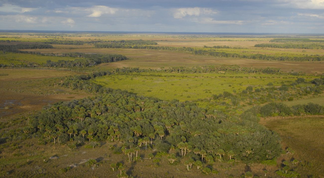 Aerial view of Blue Head Ranch in Florida with green wetlands against a cloudy blue sky.