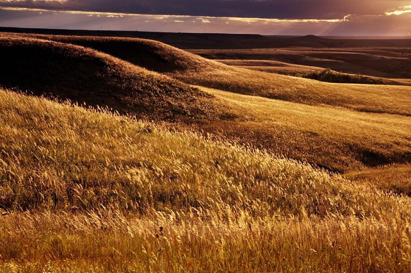 A photo of rolling grasslands in sunset.