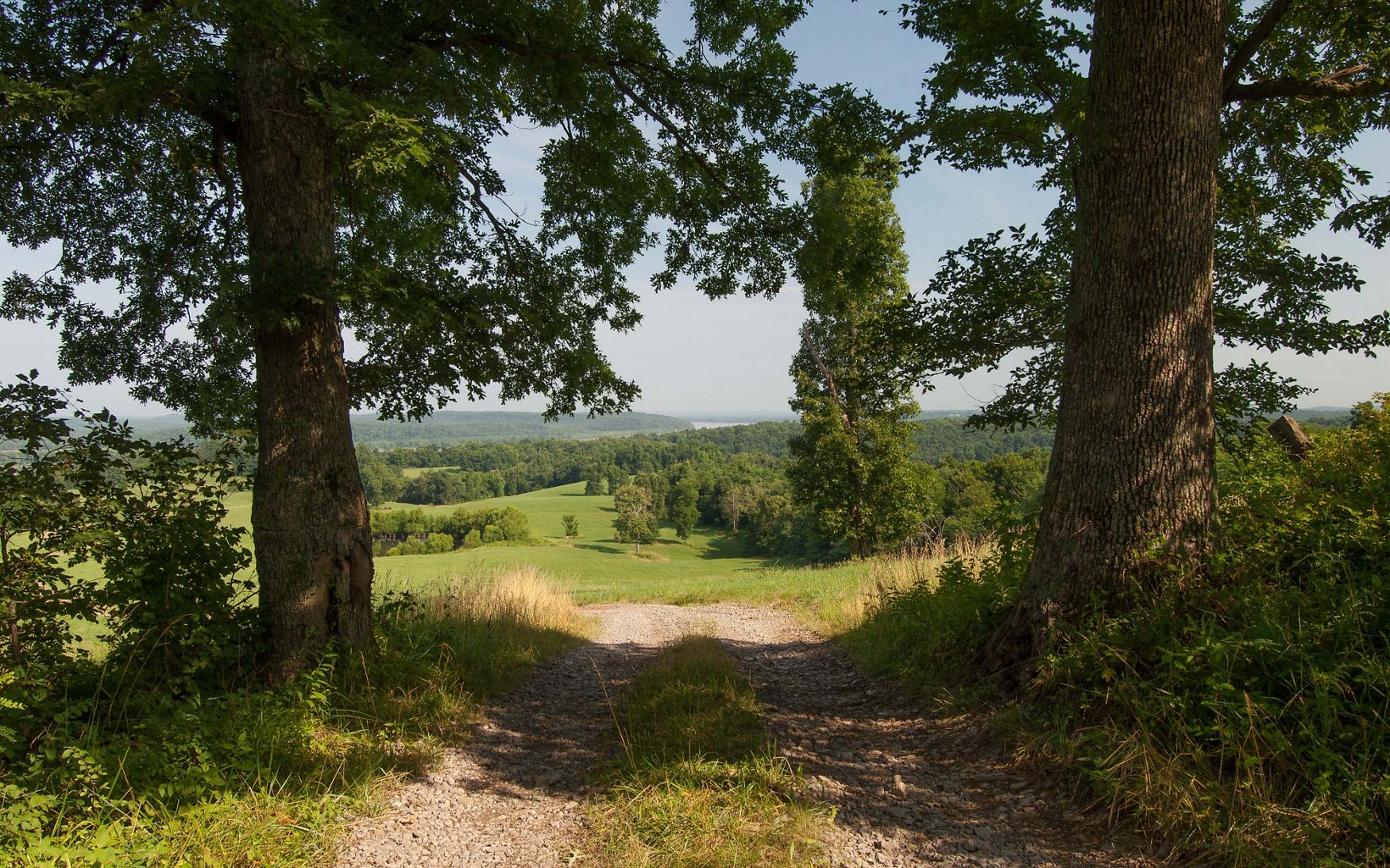 Kentucky's Big Rivers Corridor-Interior Road Visitors to the Big Rivers WMA will experience a variety of wildlife habitats and breathtaking views. Interior roads, such as this one, can be used to explore the property. © Mark Godfrey/The Nature Conservancy