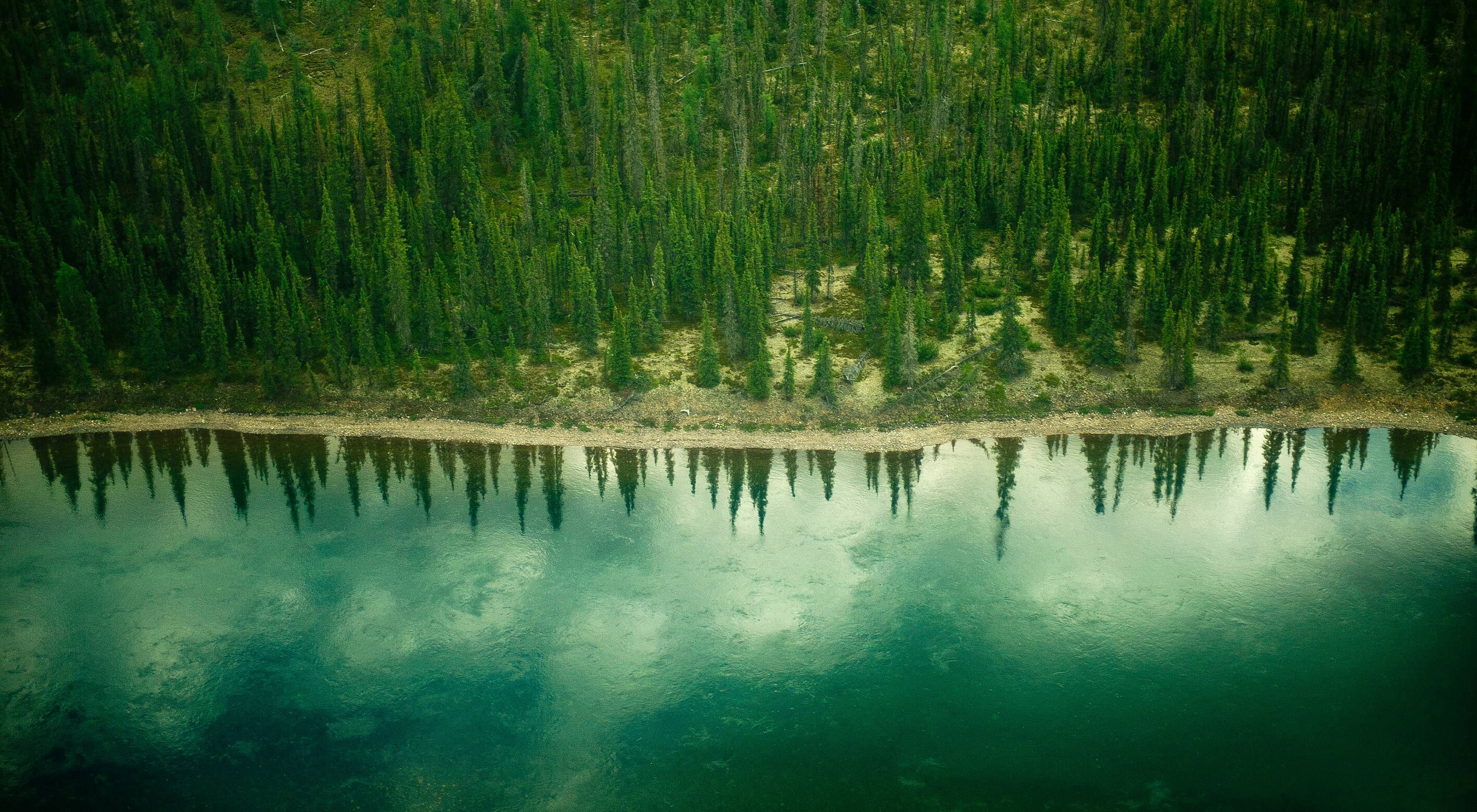 Aerial view of the Thelon River and forest landscape of Canada's far northern Thelon Game Sanctuary.