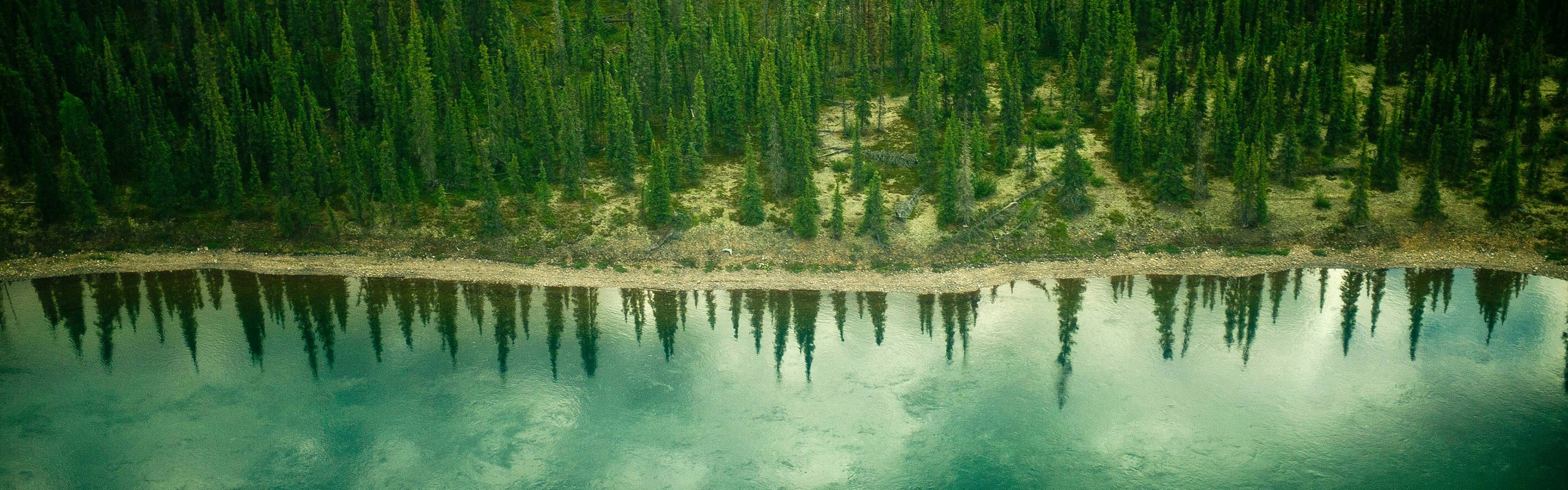 Aerial view of the Thelon River and forest landscape of Canada's far northern Thelon Game Sanctuary.