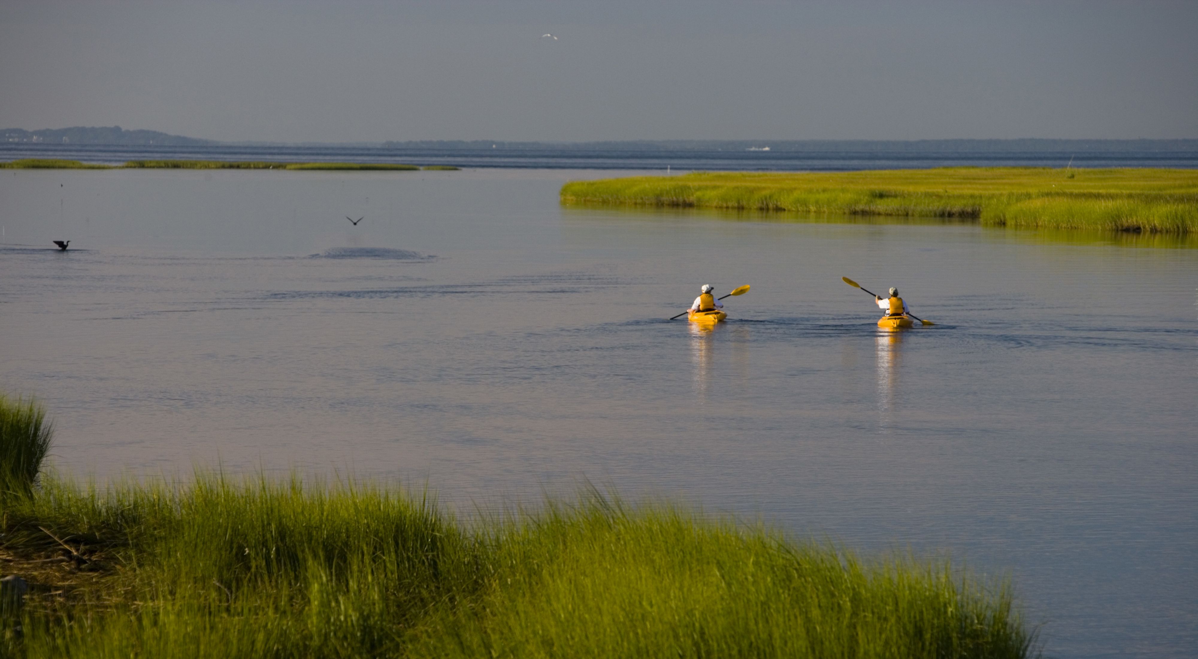 Two people in kayaks float along calm waters.