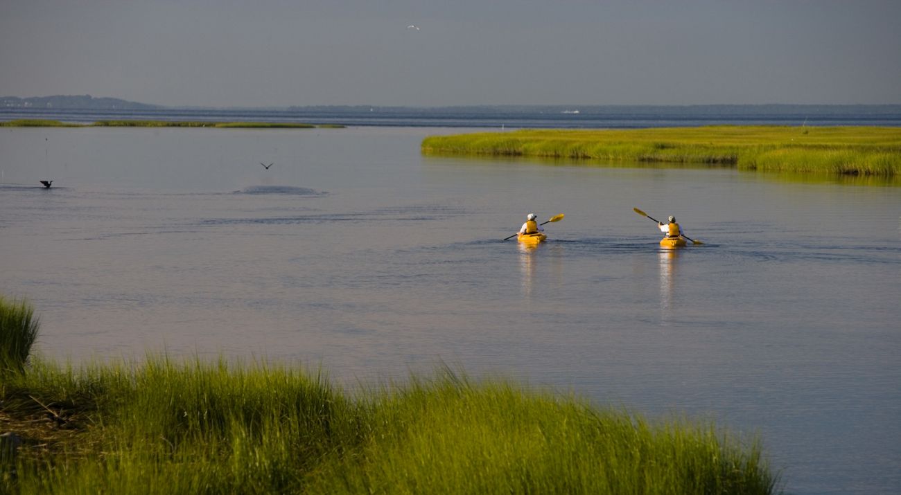 Two people in kayaks float along calm waters.