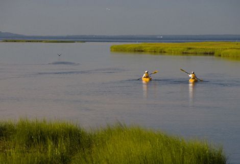 Two people in kayaks float along calm waters.