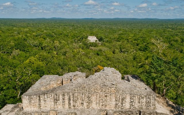 Aerial View of Maya Forest