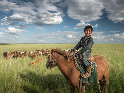 A young boy on horseback minding his family's herd of goats in the grassland steppe of eastern Mongolia's Tosonhulstai Nature Reserve.  