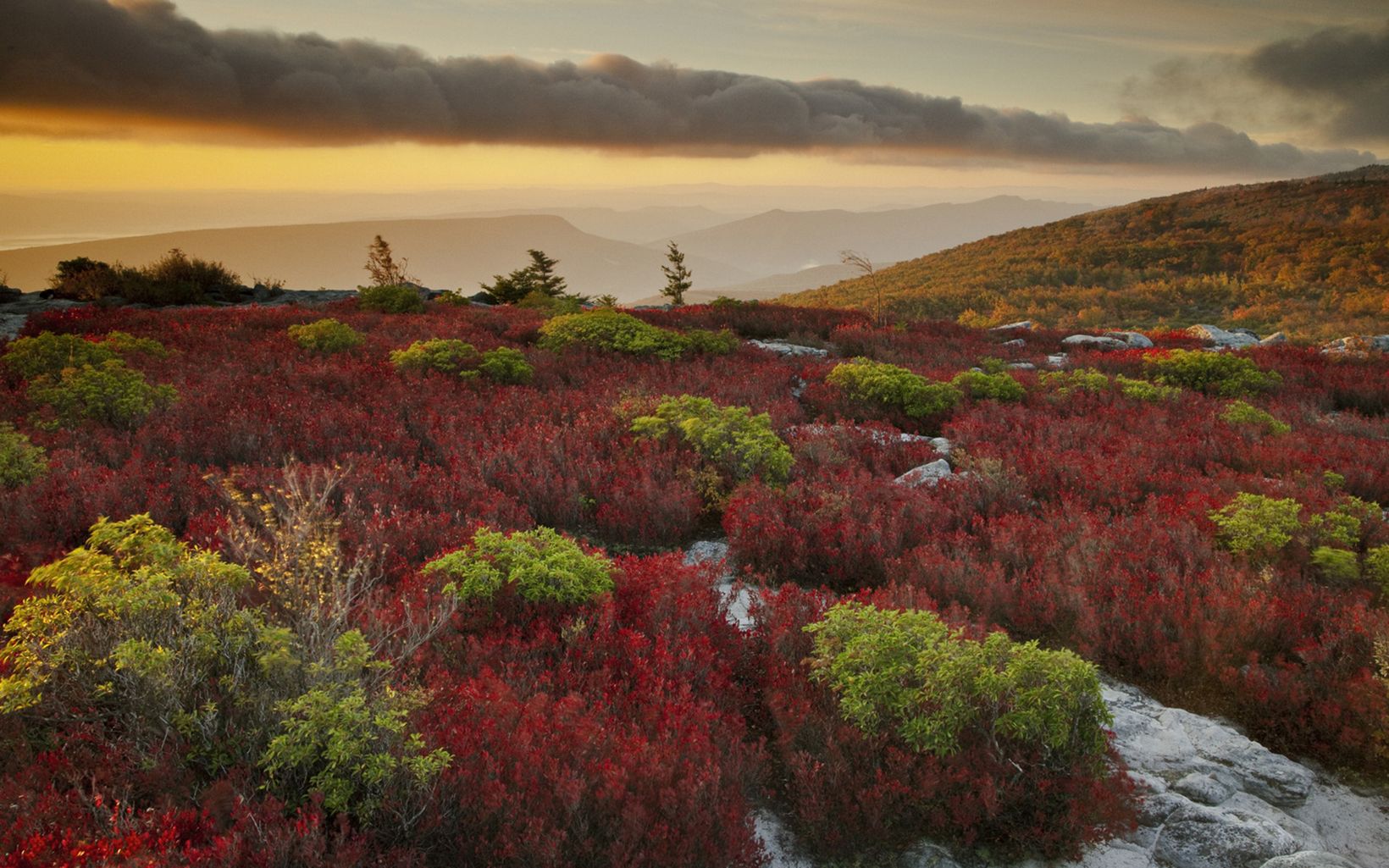 Fall Color Fall color at TNC’s Bear Rocks Preserve in West Virgini © Kent Mason