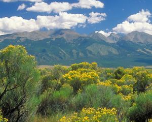 Dramatic, spring view of Medano Zapata ranch with flowering shrublands at the base of the Sangre de Cristo mountains, Colorado.