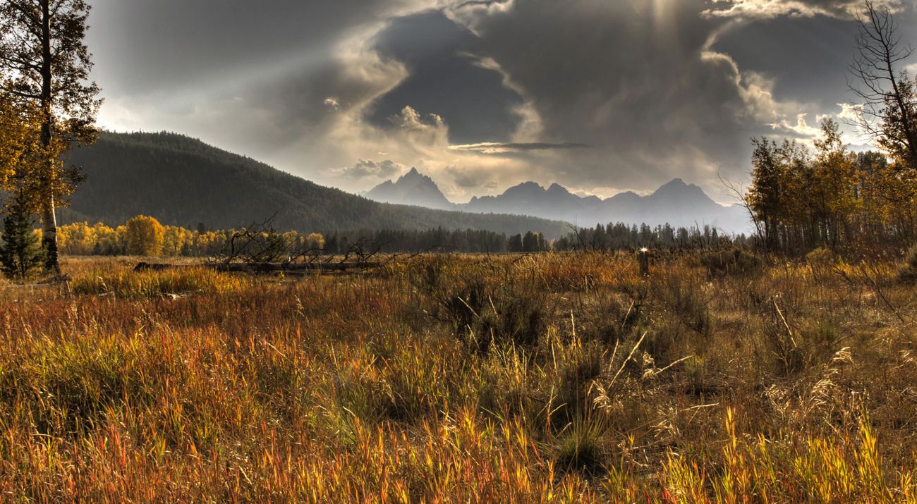 Landscape view looking across a field of dry grasses toward mountains in the distance.