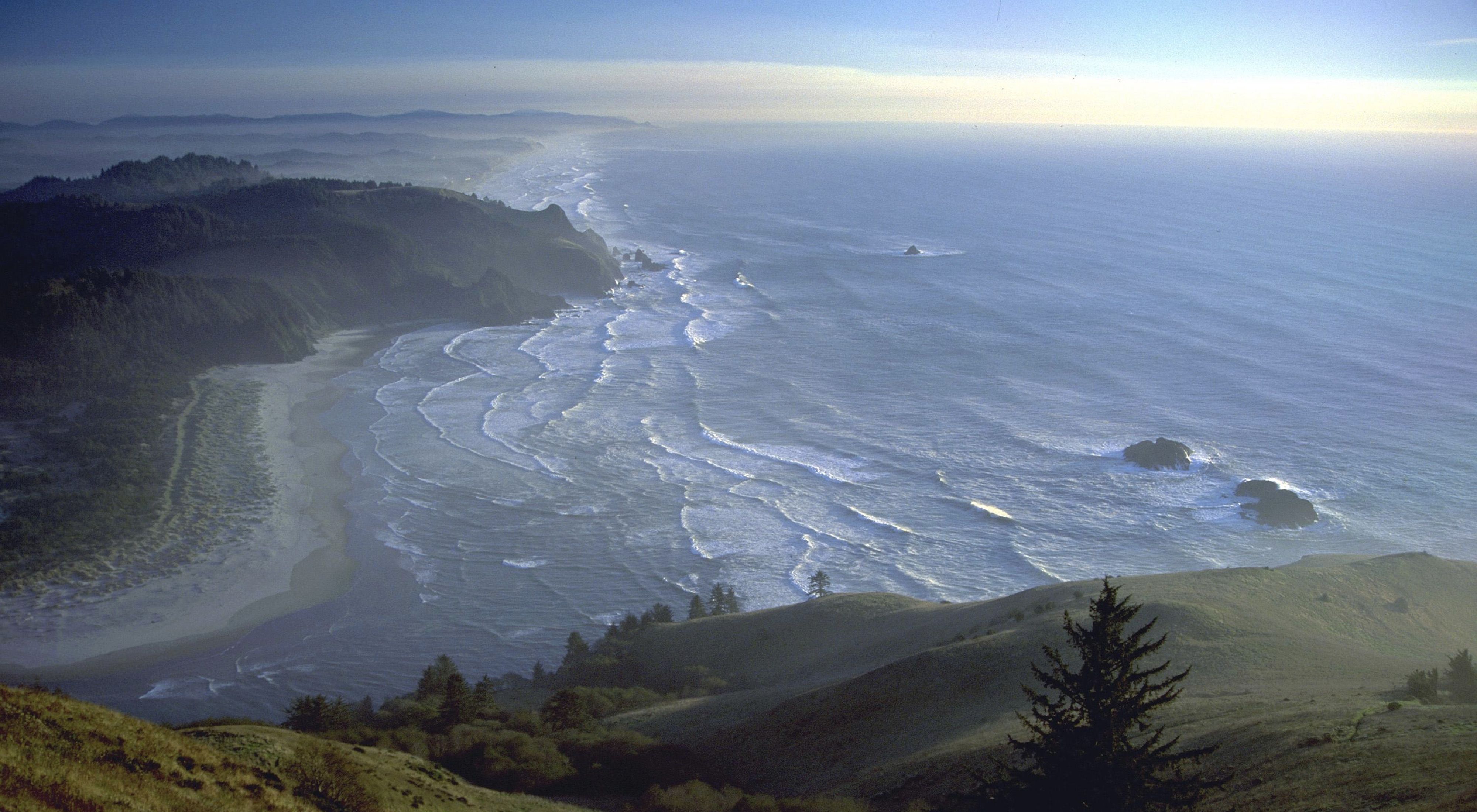 View of the ocean and rugged coastline from a high vantage point at Cascade Head Preserve, Oregon.