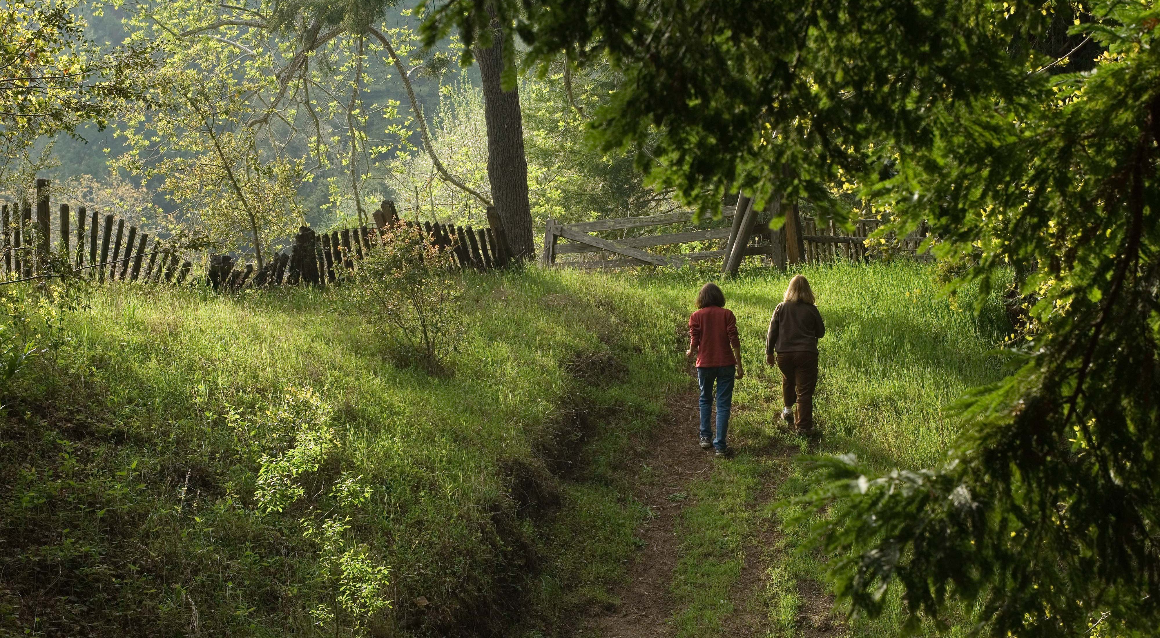 Two hikers walking down a path to a fence.