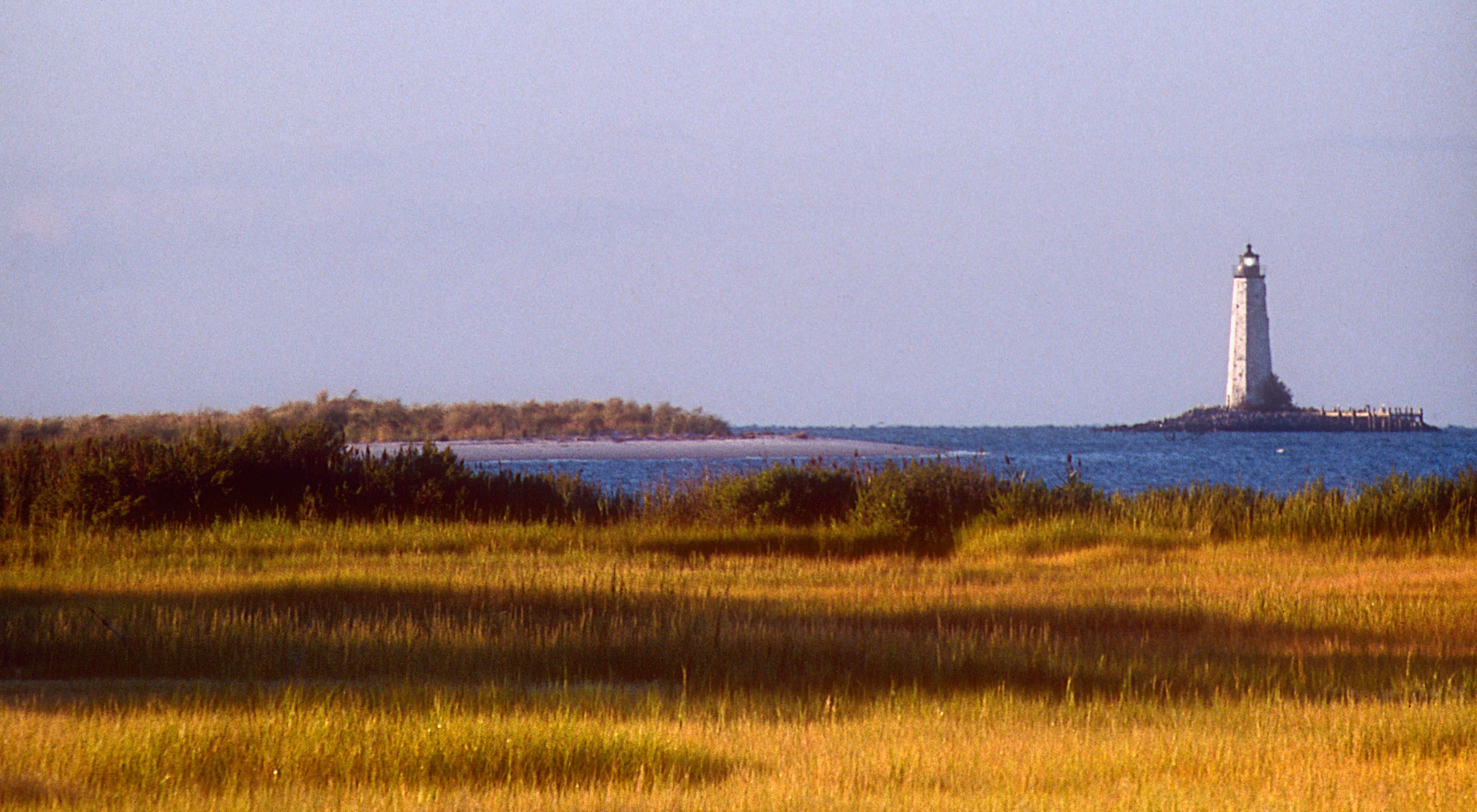 A tall stone lighthouse sits on a small island in the Chesapeake Bay just offshore of a public access area. Tall marsh grasses grow down to the water. A small beach is visible in the middle distance.
