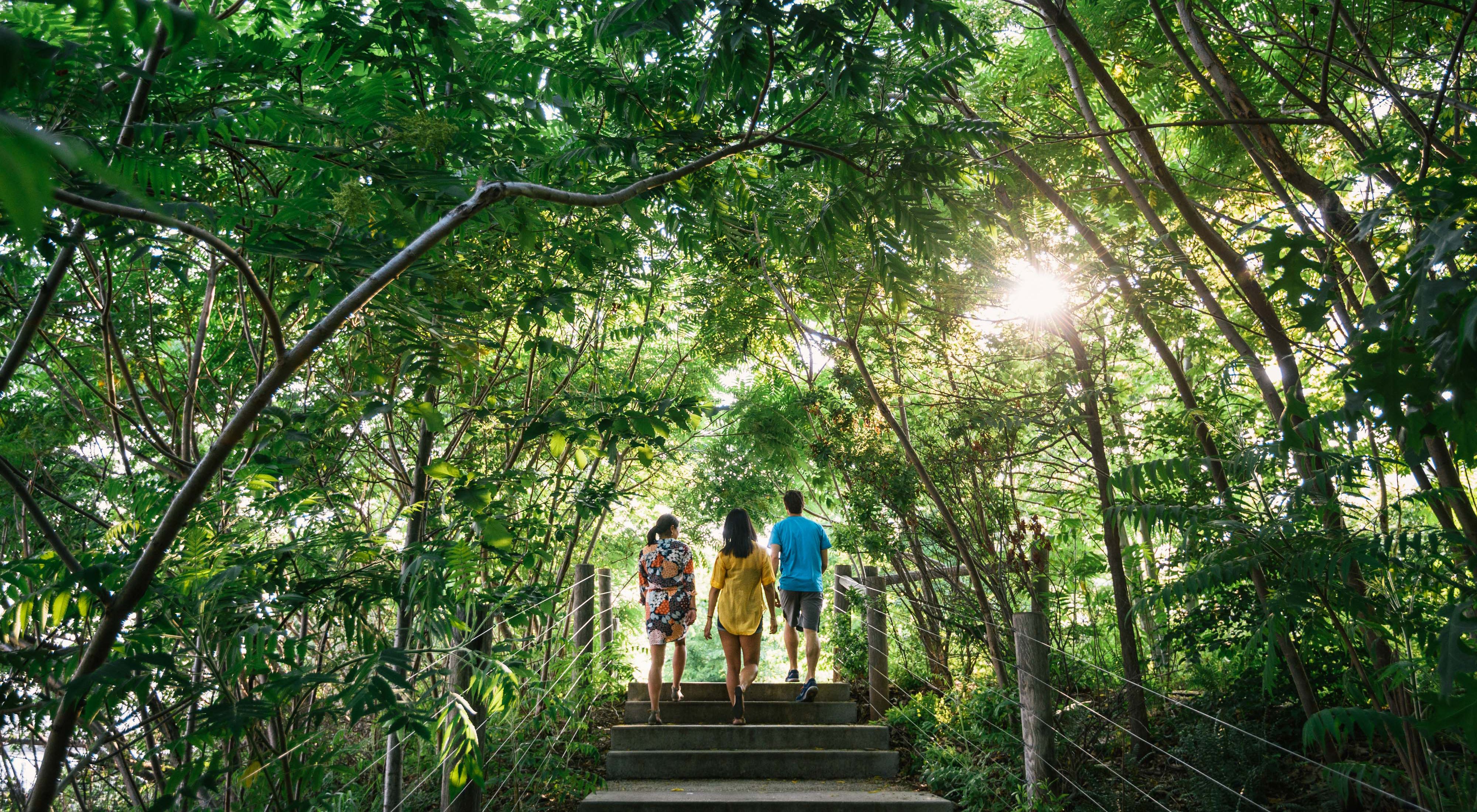 Three people walk up stairs on a path through a forest in a park.